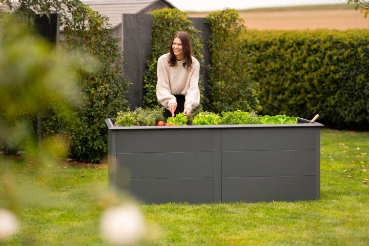 WESTMANN Hochbeet Primus